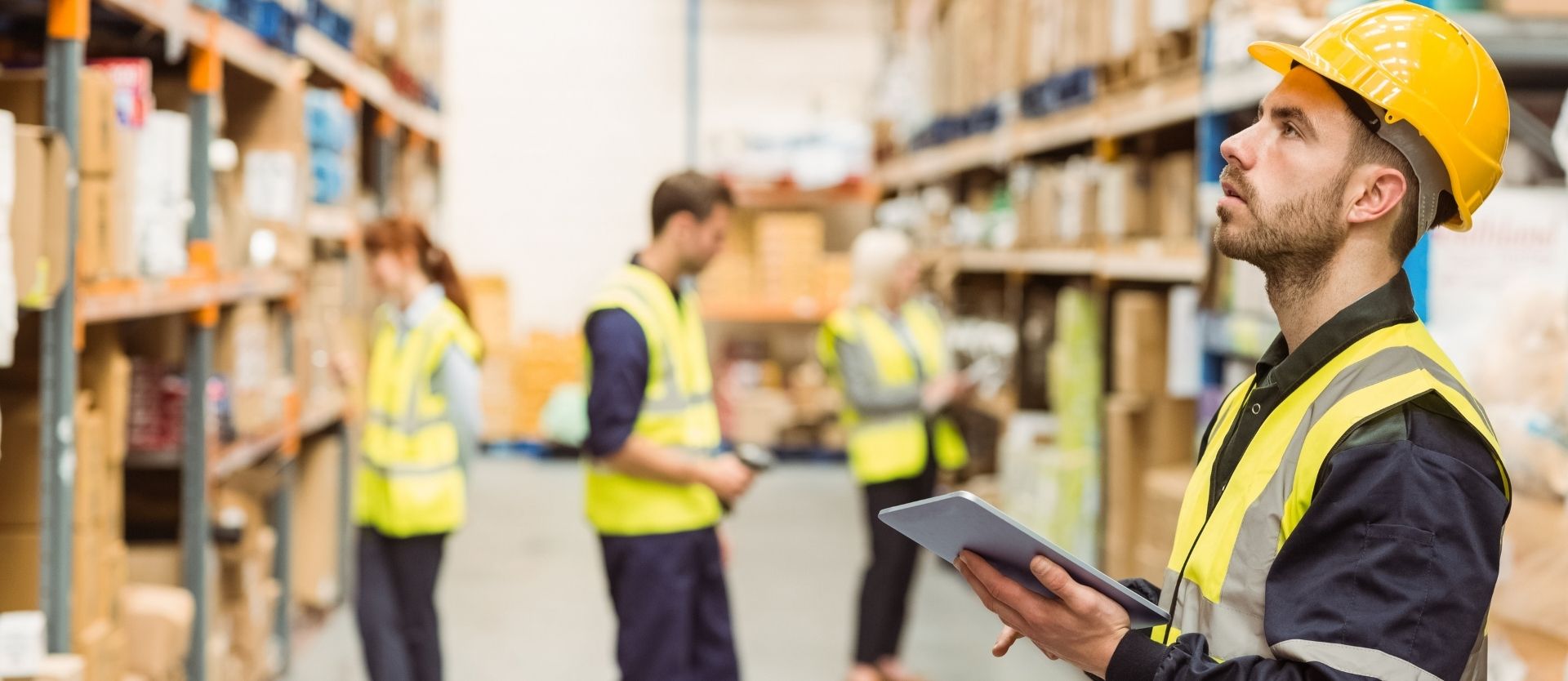 Why You Should Consider a Career in the Warehouse Industry