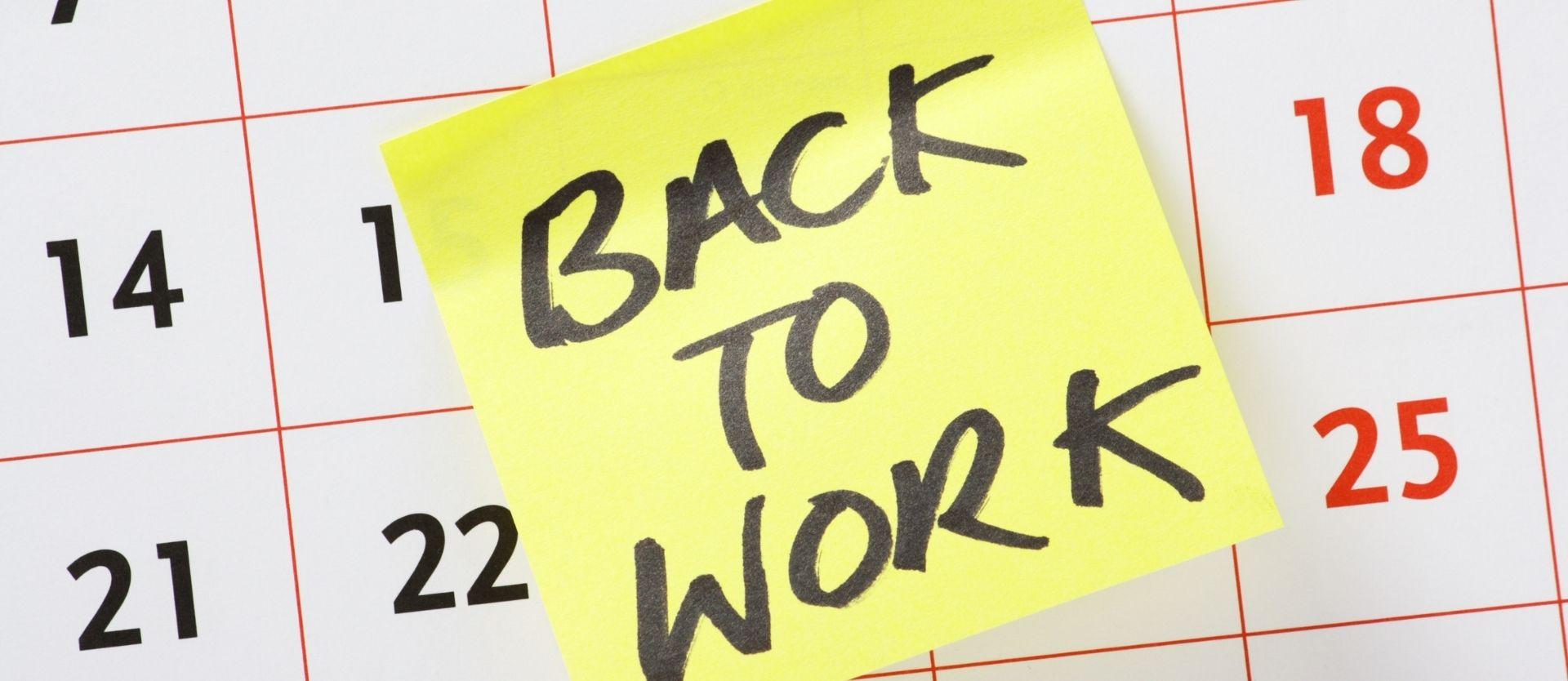 Top Reasons You Should Get Back To Work Today